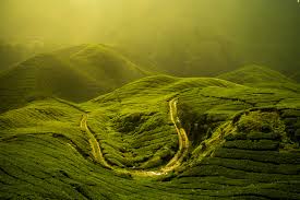 Cameroon Highlands - Ong Meng Foong Cameroon Highlands - Ong Meng Foong